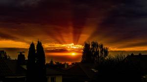 Staudenbeet-1-von-10101